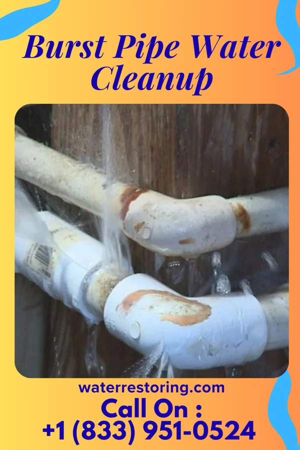 Burst Pipe Water Cleanup in Deemston, PA