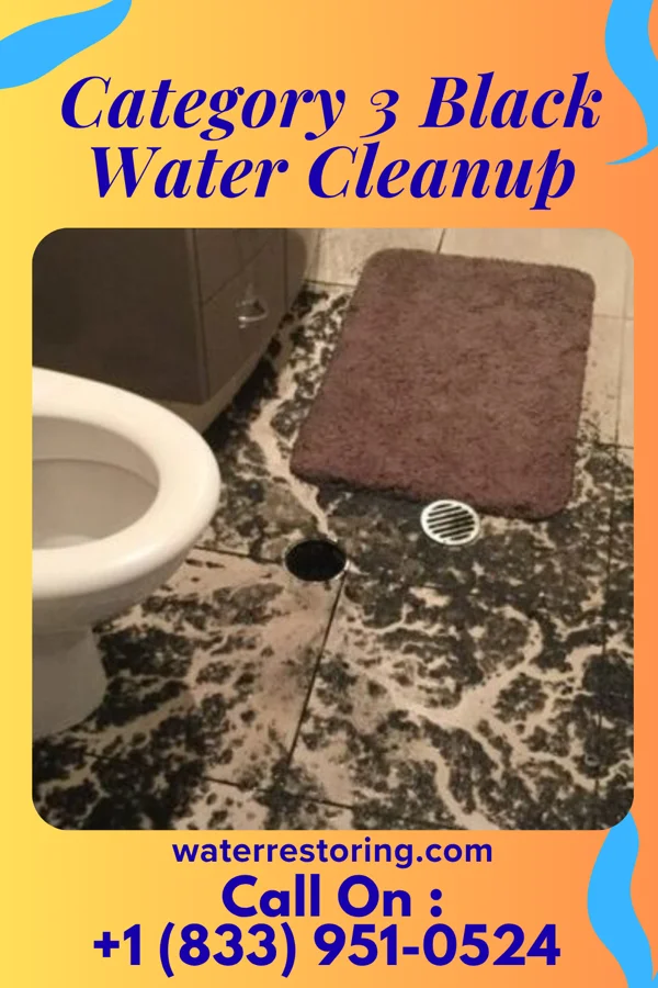 Category 3 Black Water Cleanup in Deemston, PA