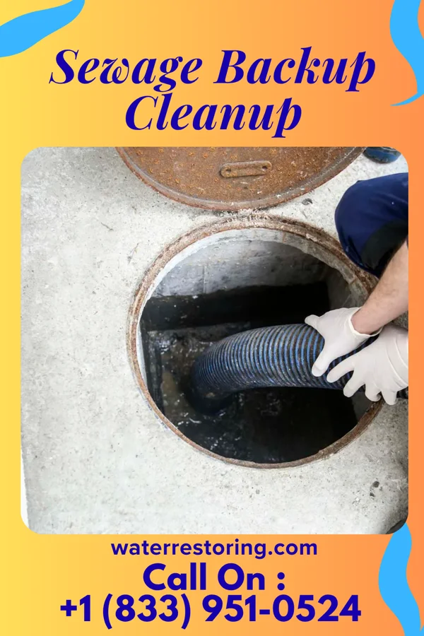 Sewage Backup Cleanup in Deemston, PA