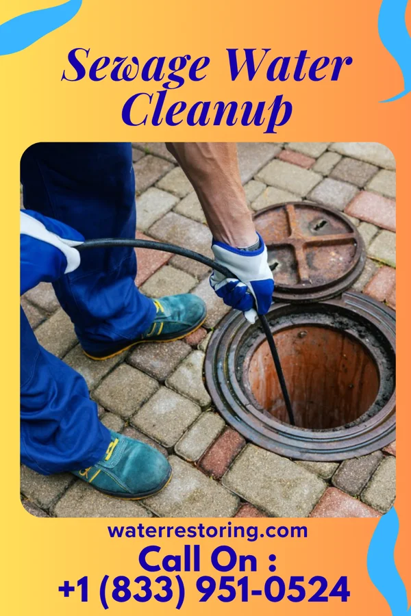 Sewage Water Cleanup in Deemston, PA
