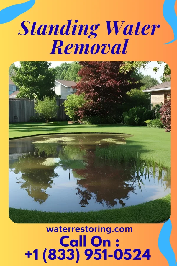 Standing Water Removal in Deemston, PA